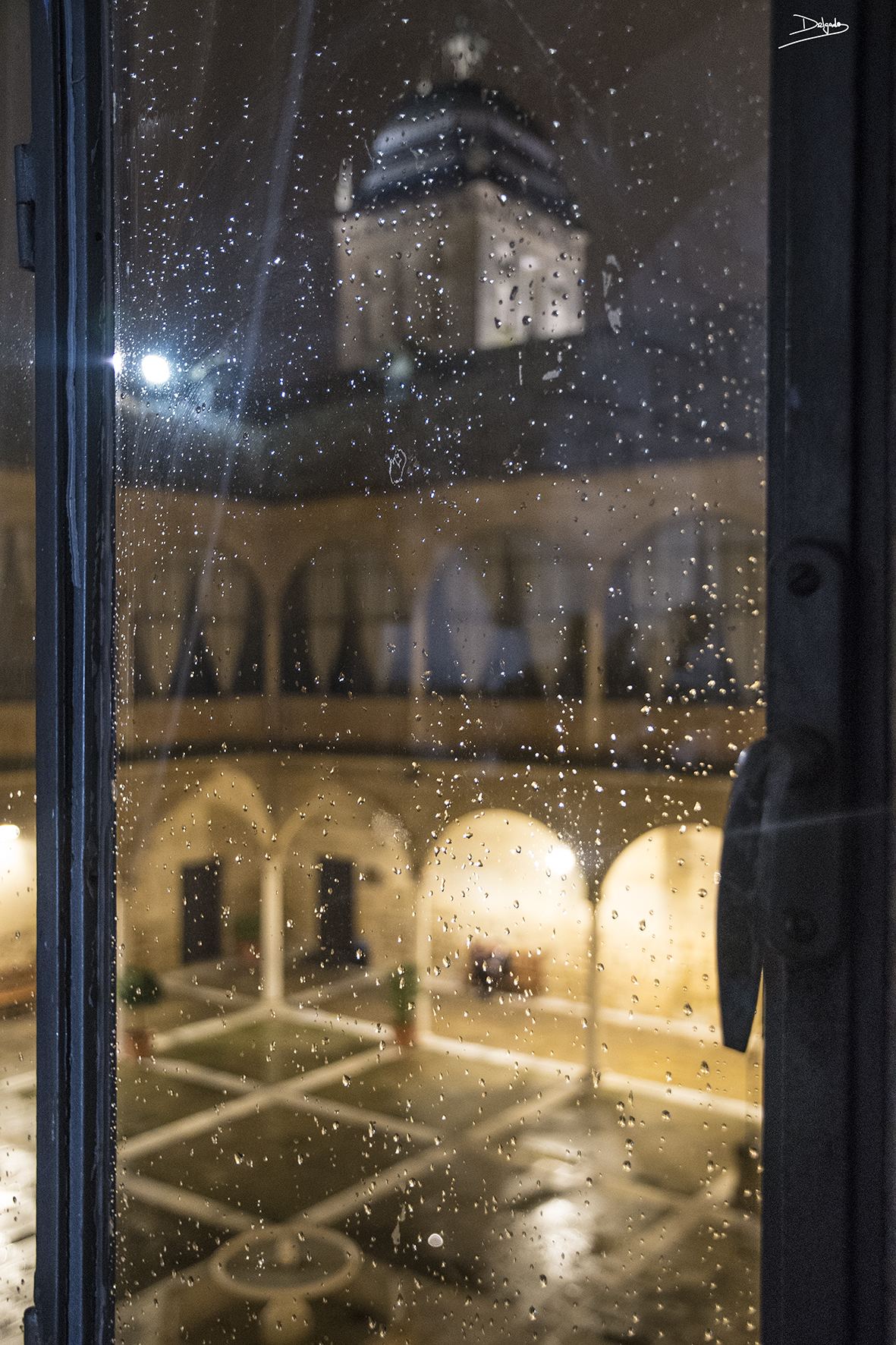 Foto del día: Belleza a través de las gotas de lluvia