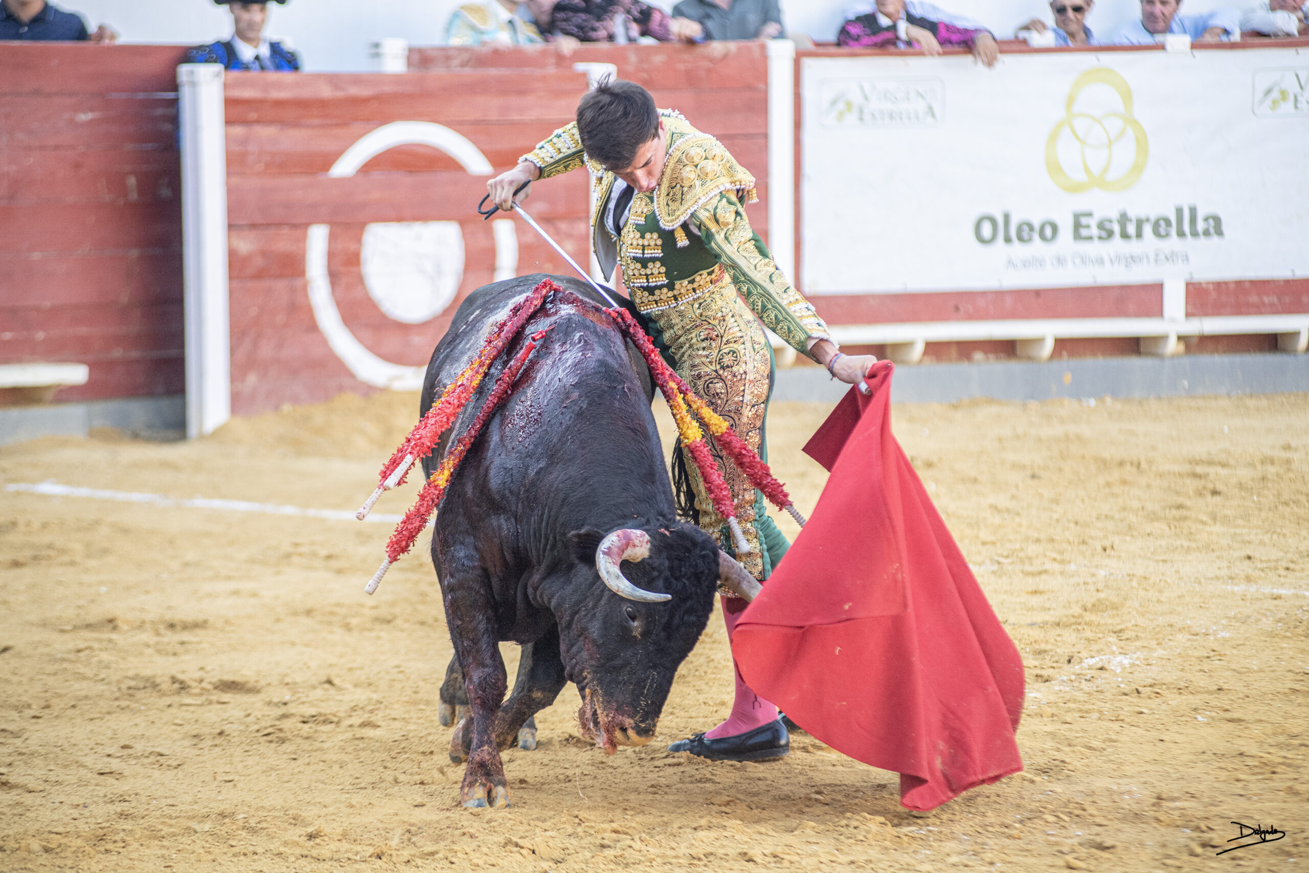 Fotogalería: Momentos de la novillada de Navas de San Juan