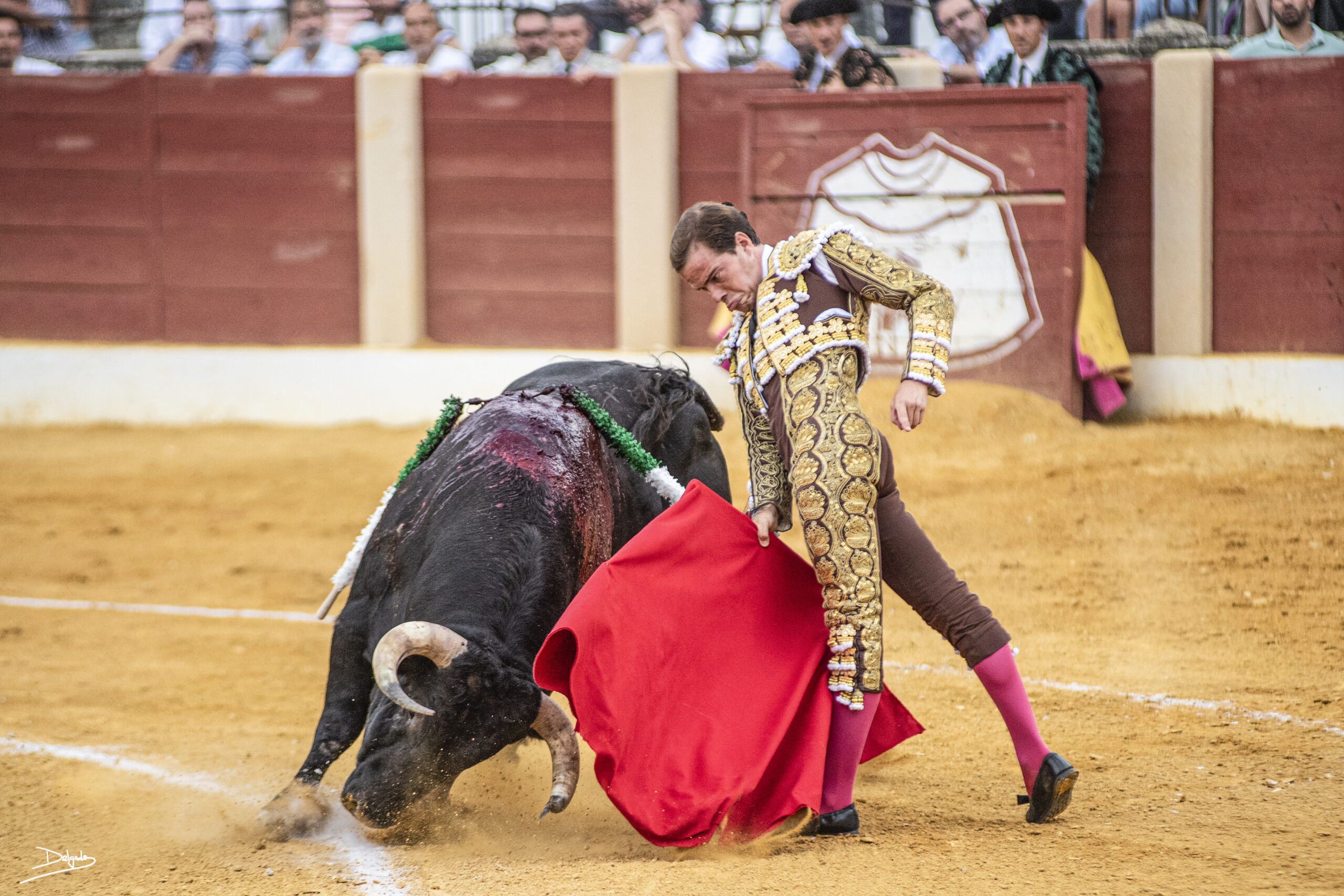 Fotogaleria: Javier Cortés y Araúz de Robles