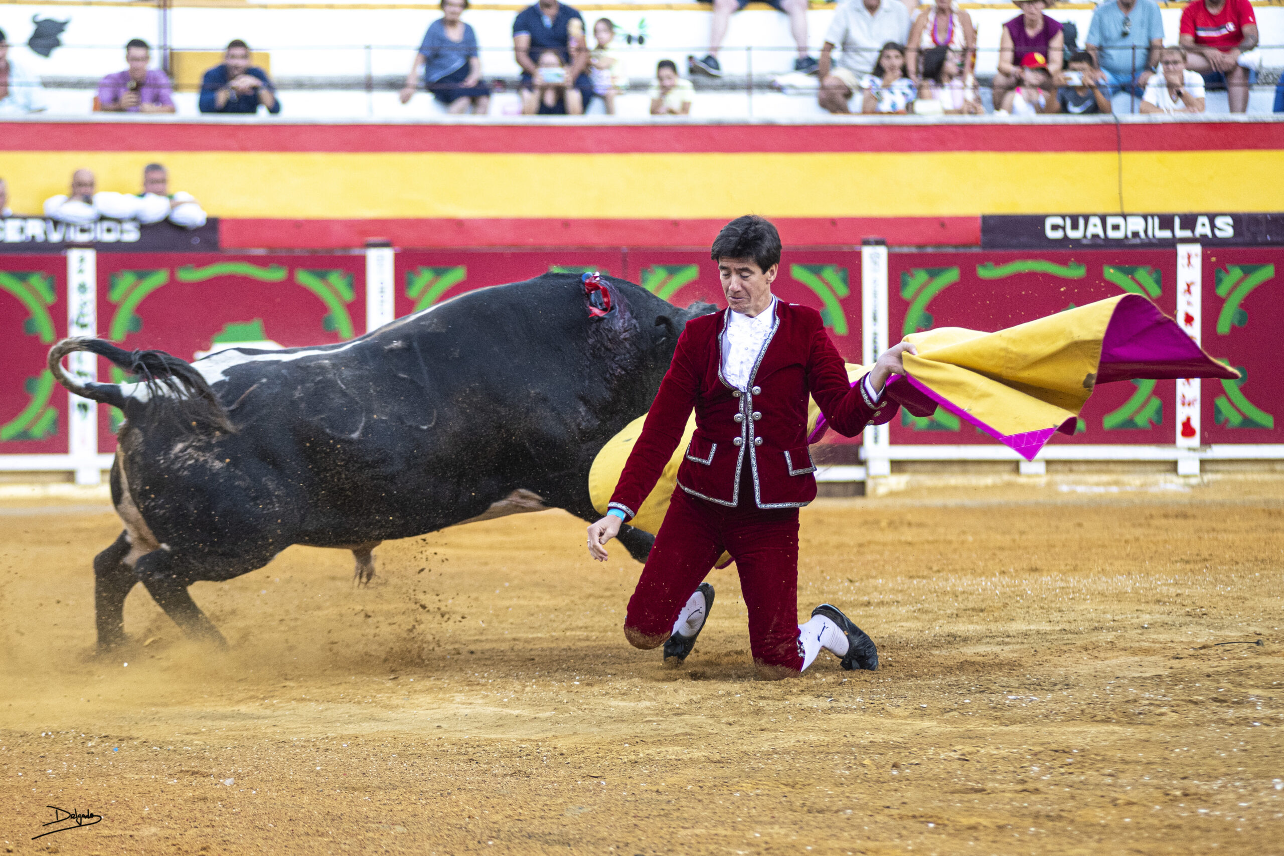 Fotogalería: III Corrida Pictórica del Aceite en Villacarrillo