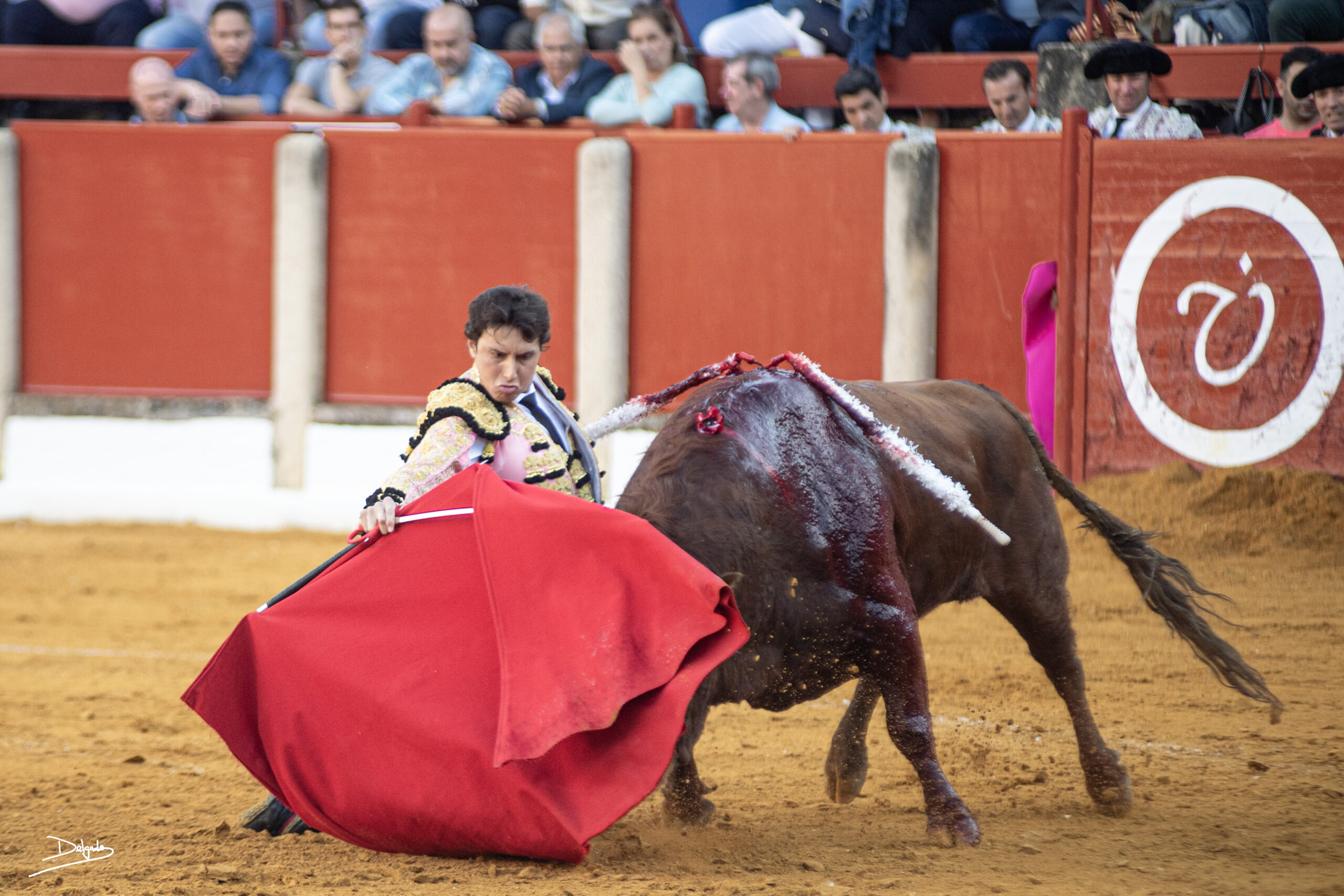 Fotogalería: El dominio de Roca Rey