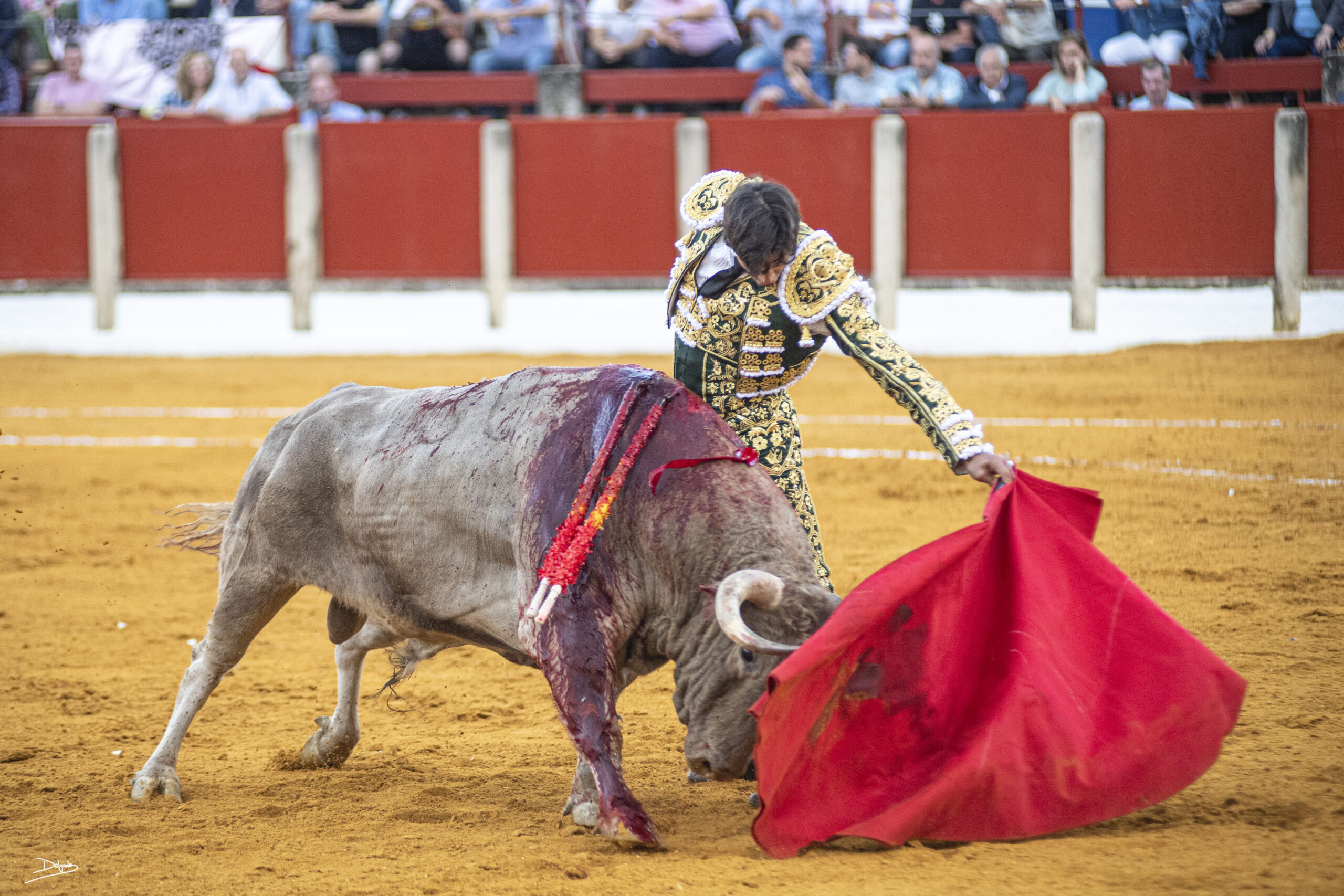 Fotogalería: Inmenso Curro Díaz