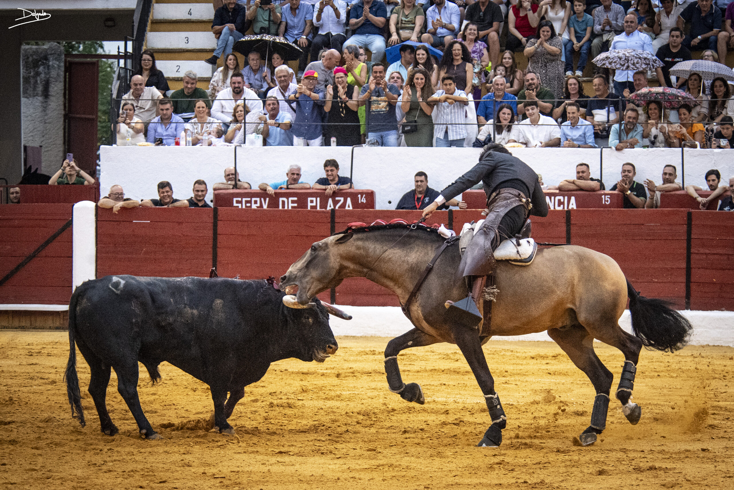 Fotos del día: Tarde de expectación en Villanueva del Arzobispo
