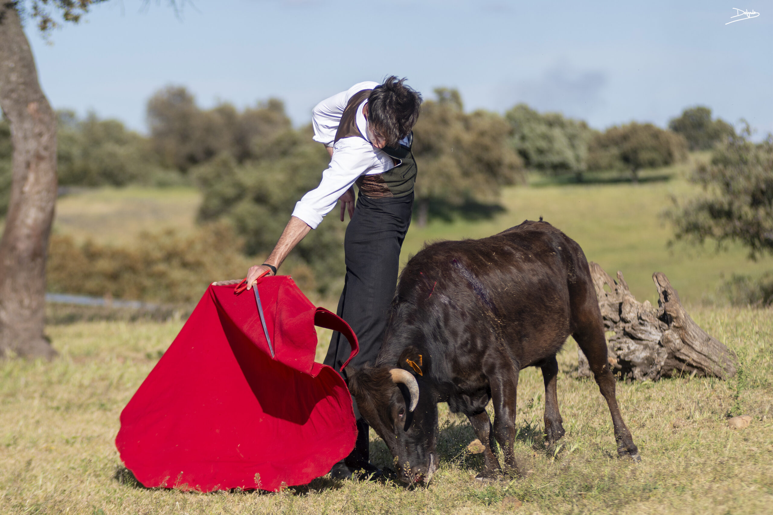 Fotos del día: A campo abierto