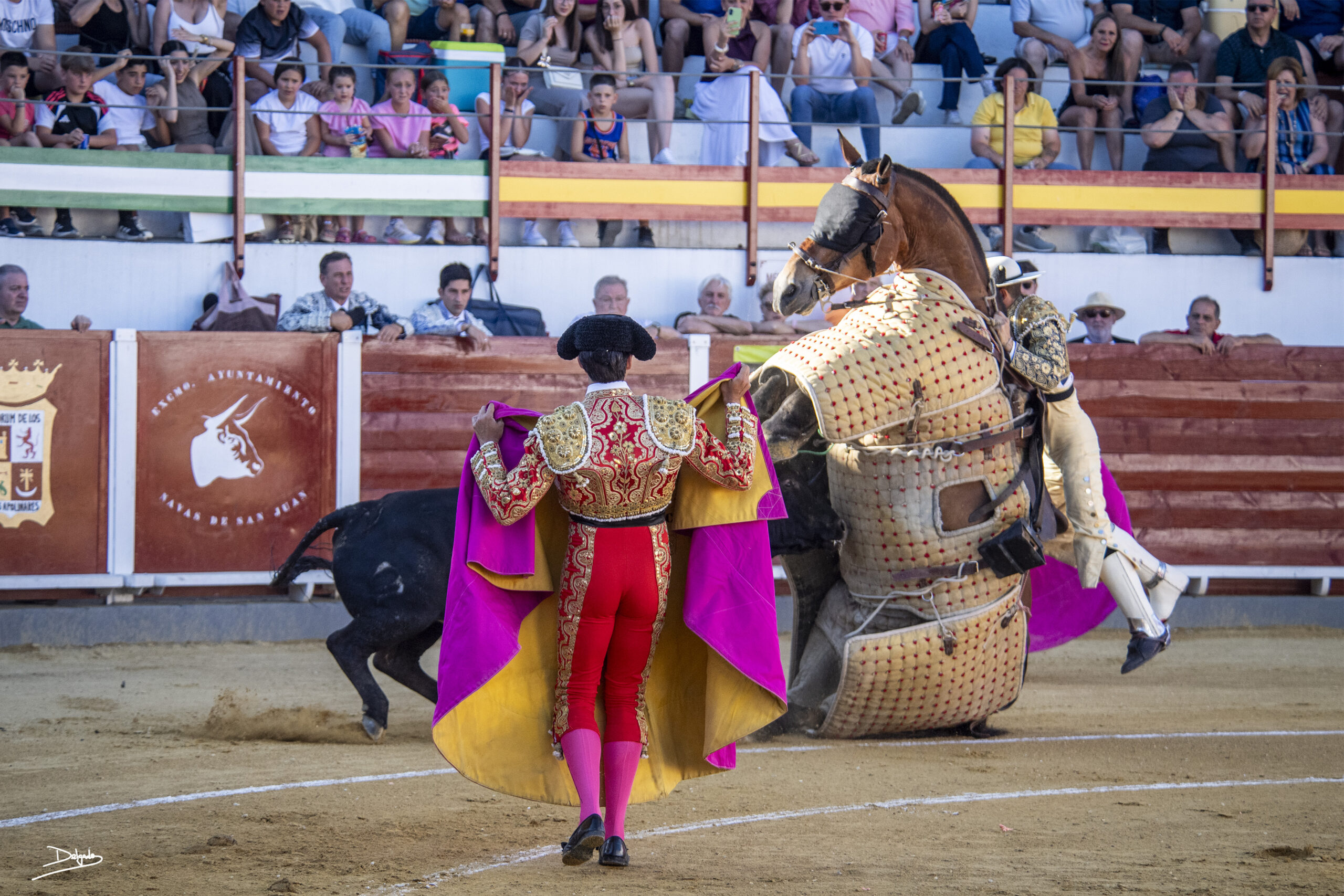 Fotos del día: Lucha de colosos